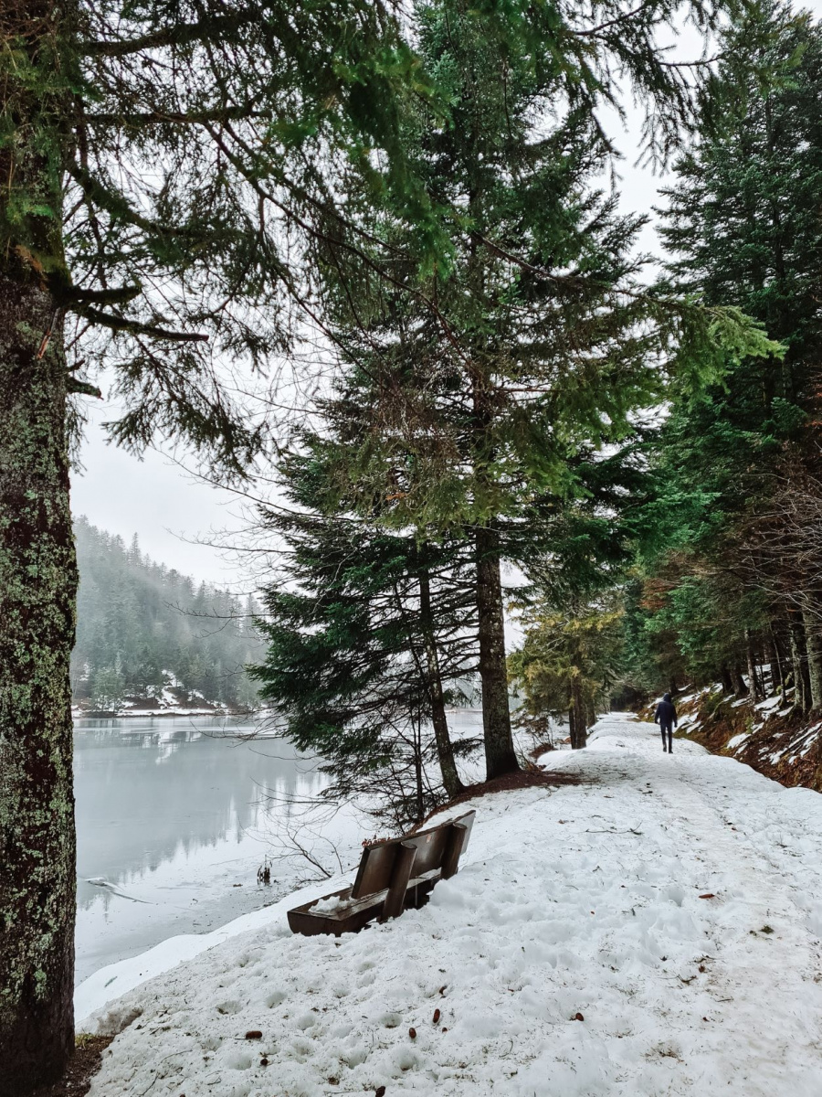 wandeling sneeuw La Bresse 