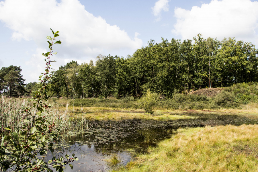 Natuur Limburg