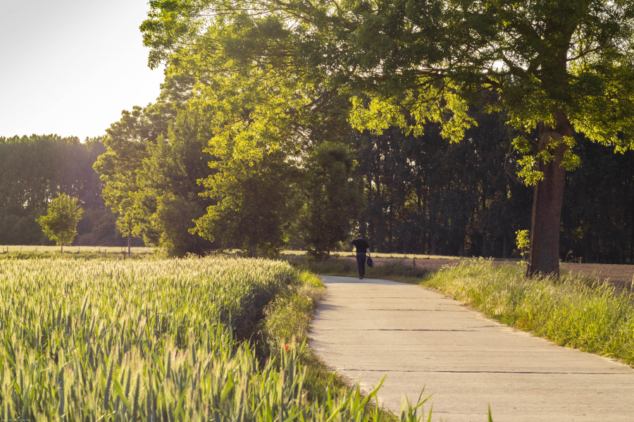 Wandelen Oost Vlaanderen 