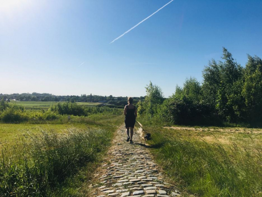 wandelen in groot Kortrijk 