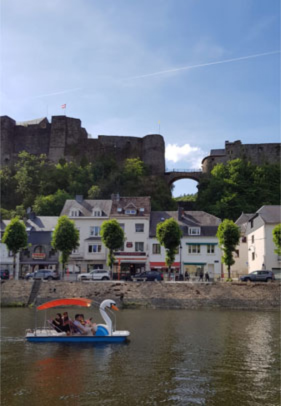 Bouillon