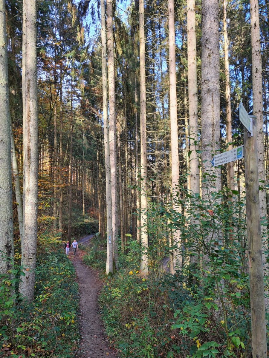 Mooiste wandeling Duitsland