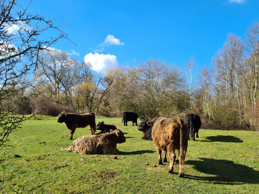 wandelroute galloways