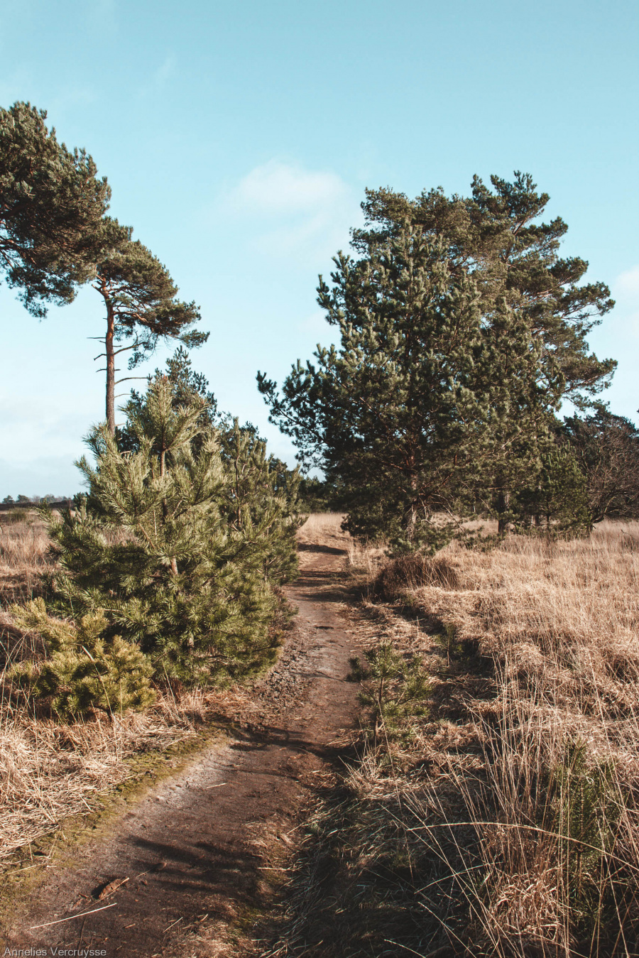 wandelen provincie Antwerpen 