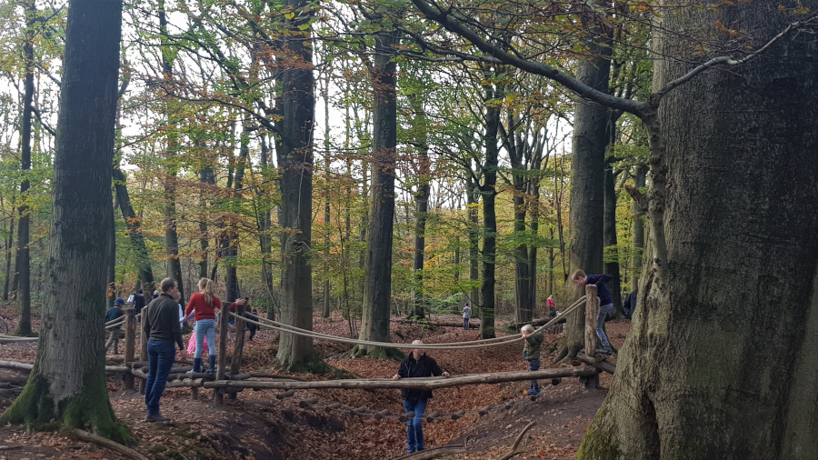 spelen bos kinderen 