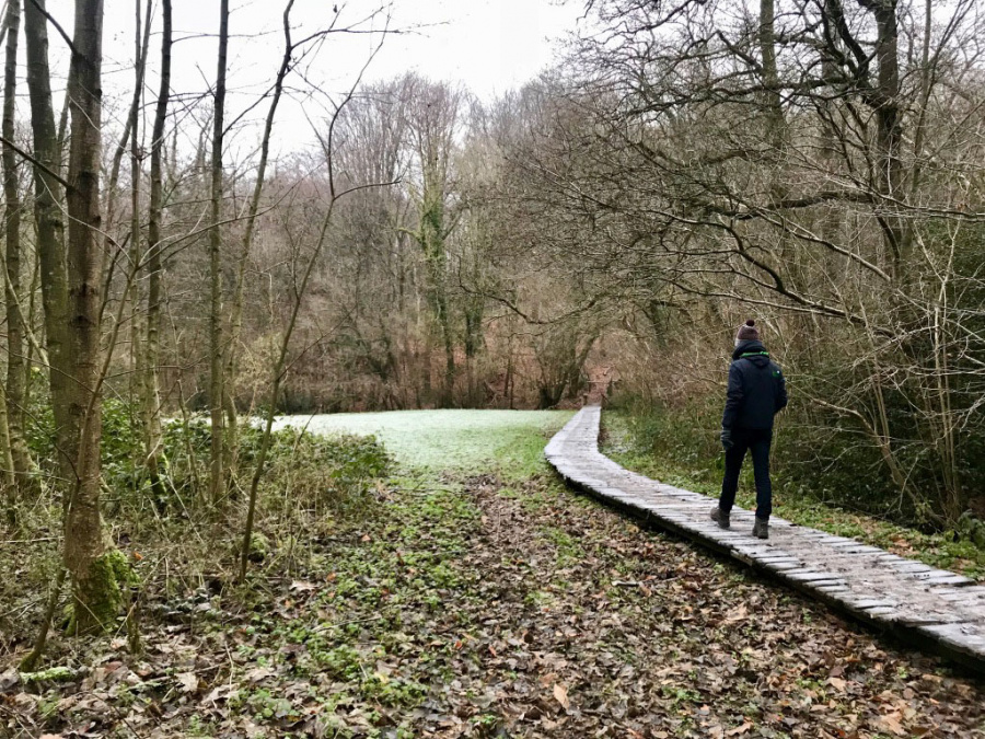 Tweebergen wandeling Westhoek