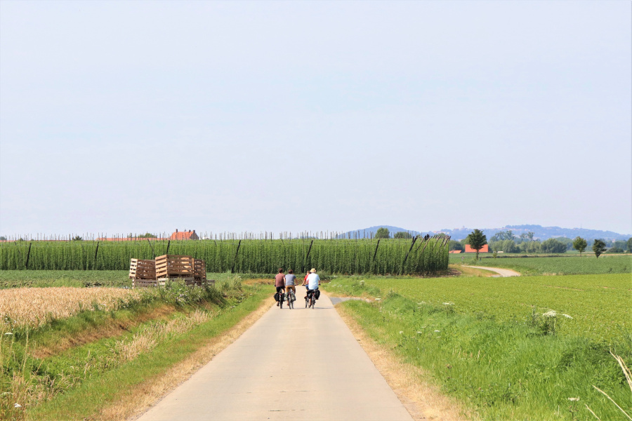 wandelen