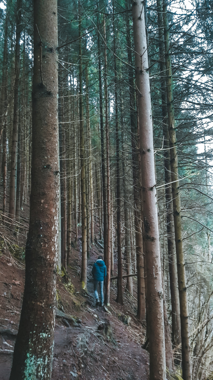 malmedy wandeling