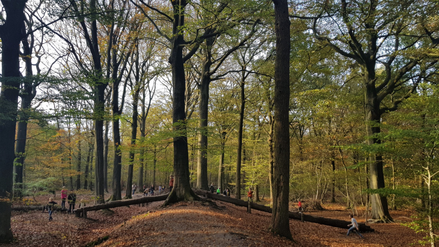 Wandelen met kinderen 