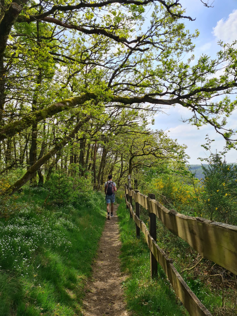 mooiste wandeling luxemburg 