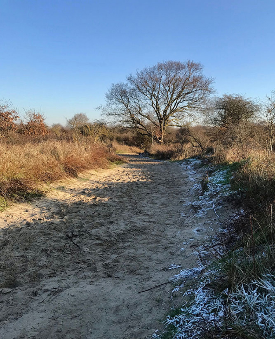 wandeling De Panne 