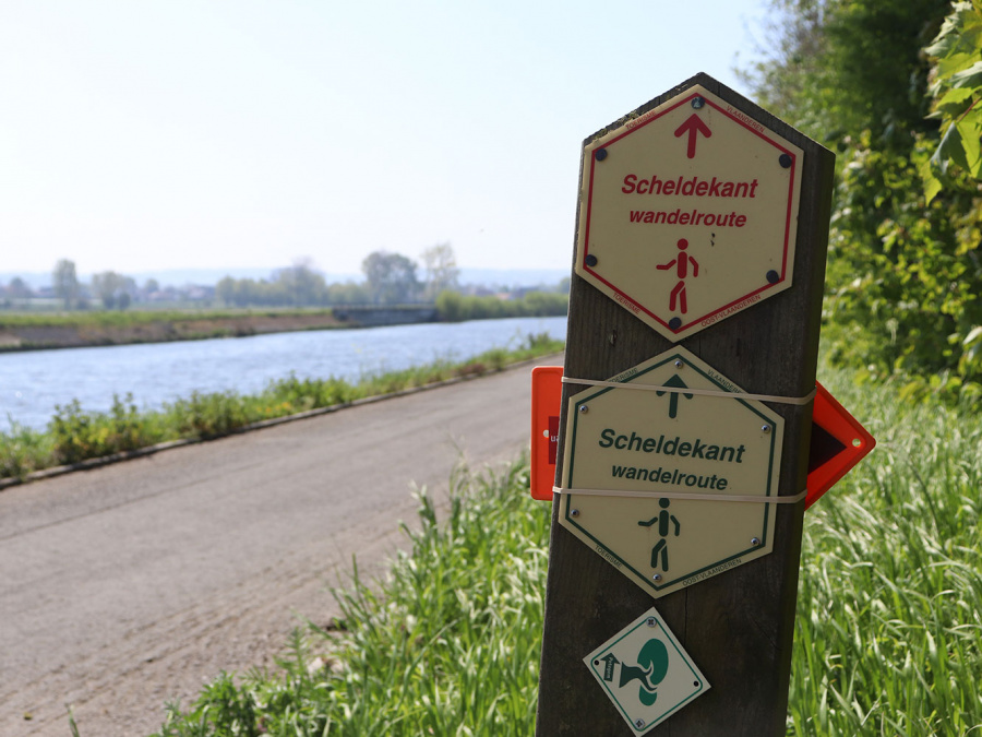 Scheldekant wandelroute