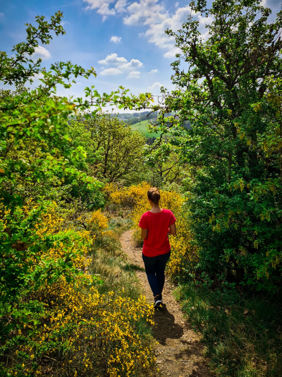 Wandeling Luxemburg