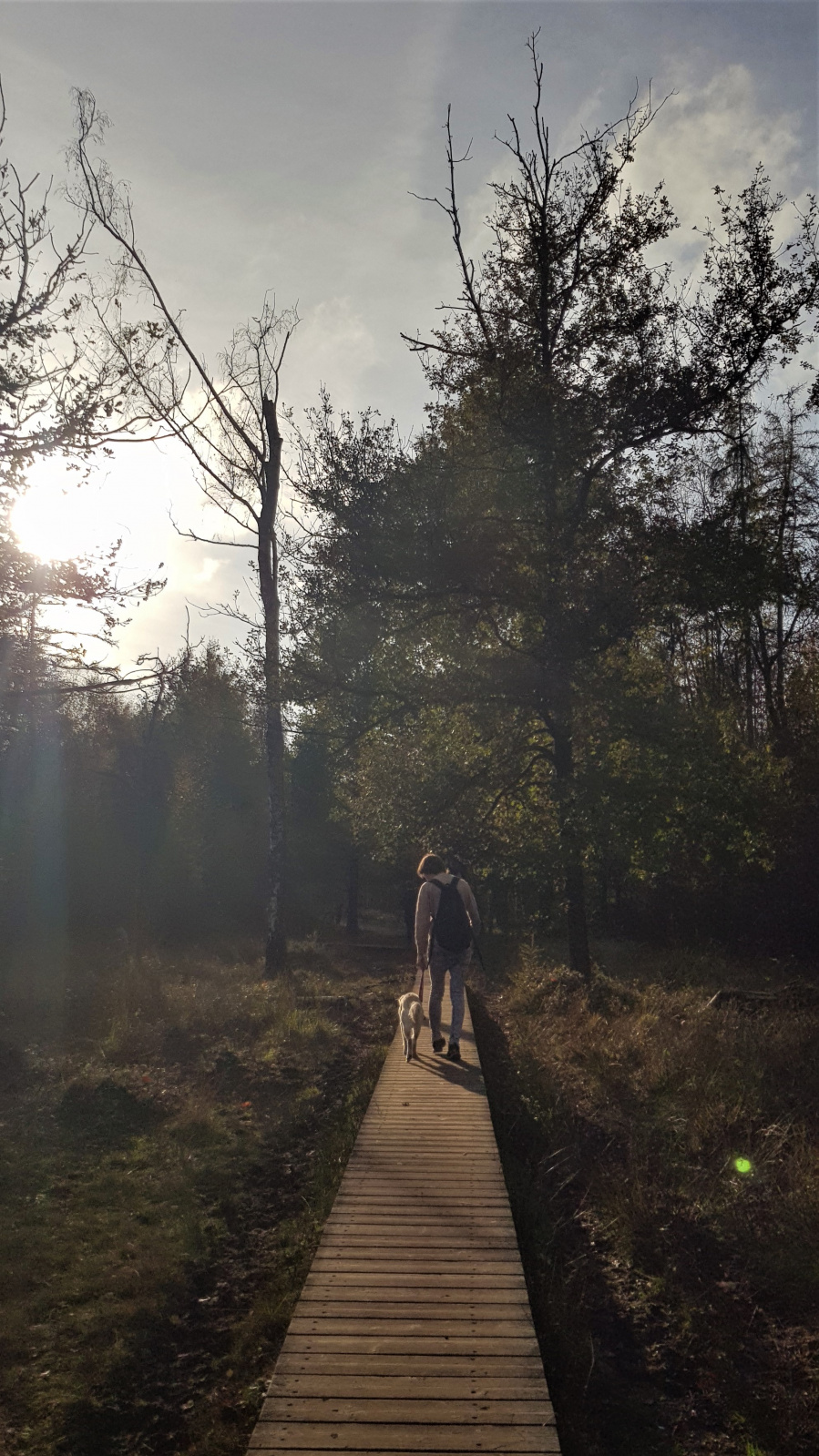 wandeling oost vlaanderen 