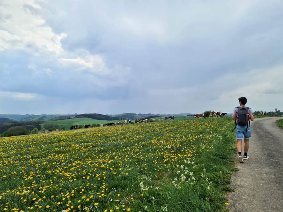 Wandelen grens België Luxemburg