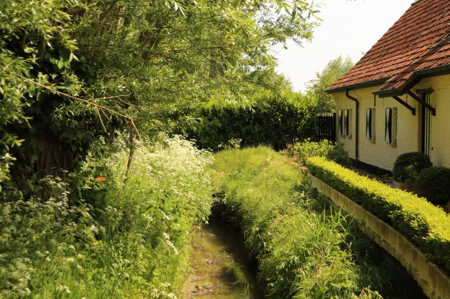 Wandelroute Vlaamse Ardennen 