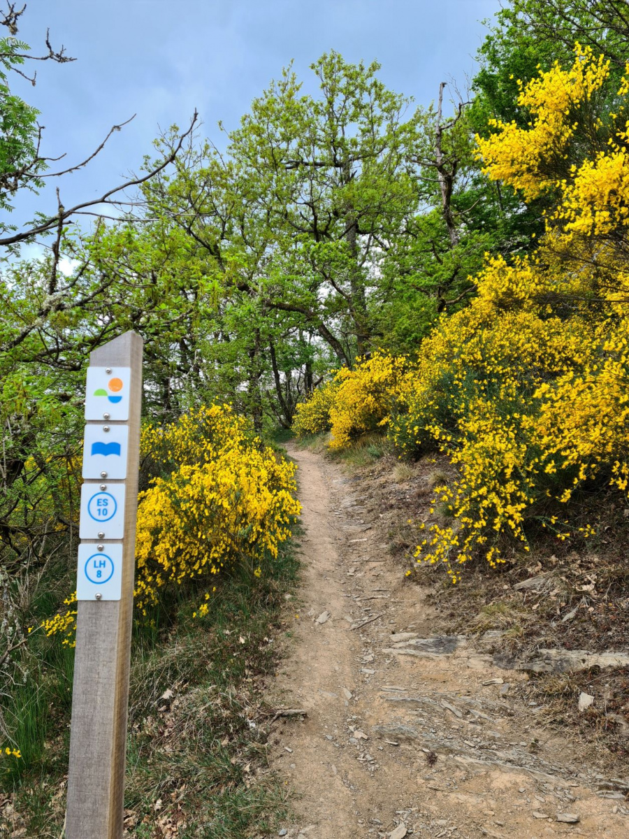 wandeling Martelange