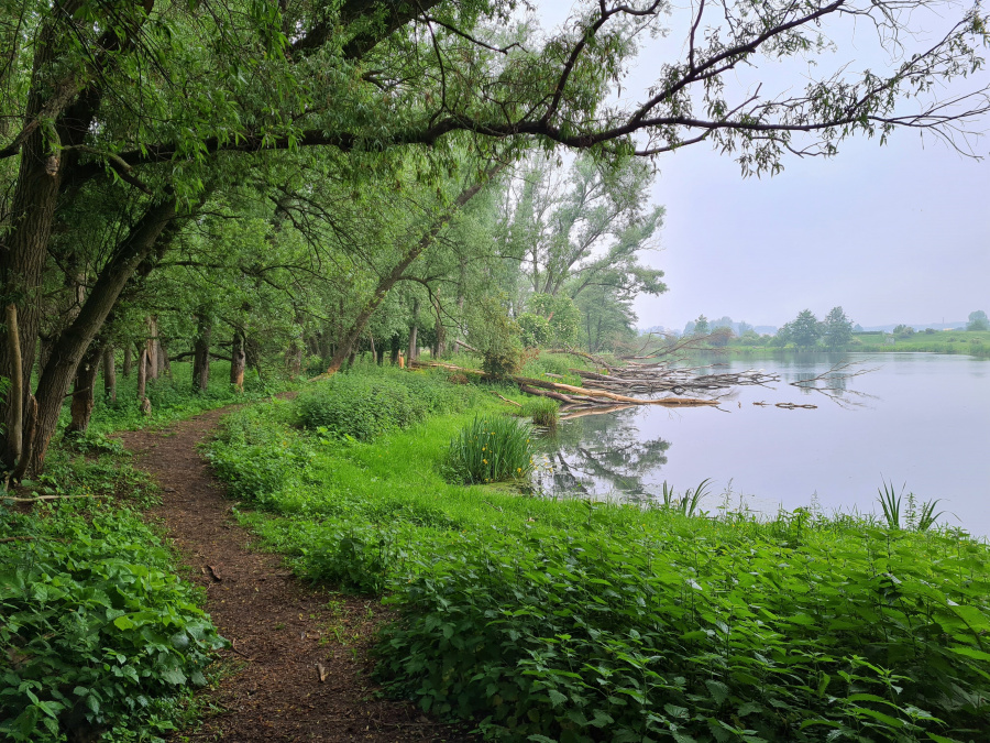 wandelen Limburg