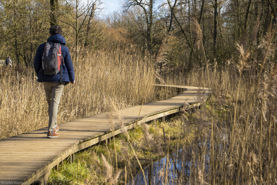 Wandelen provincie antwerpen 