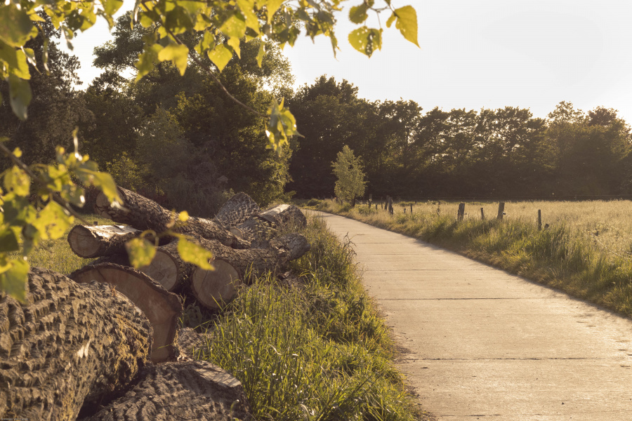 Natuur Meetjesland