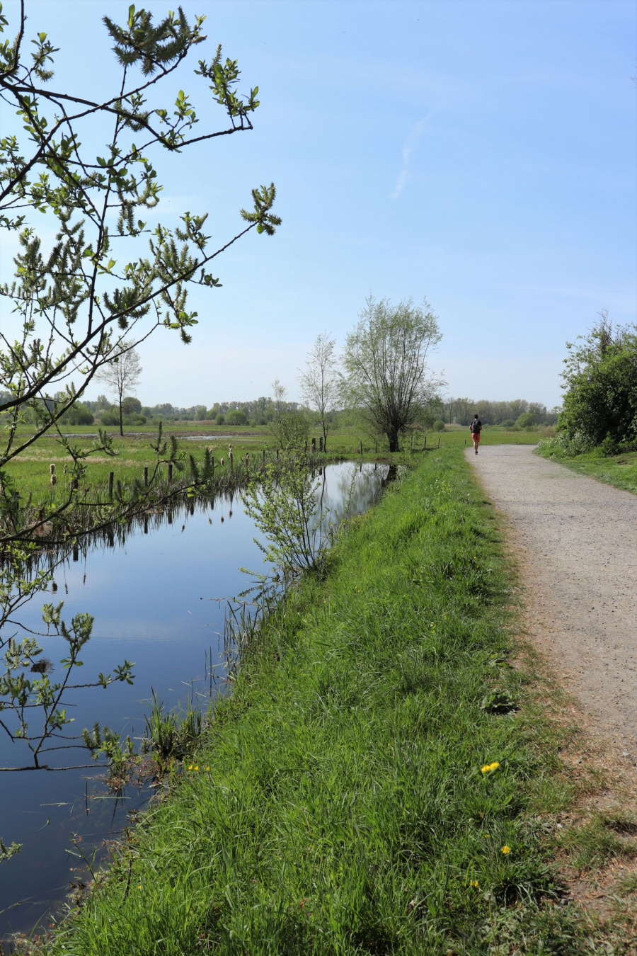 Natuur Gent 