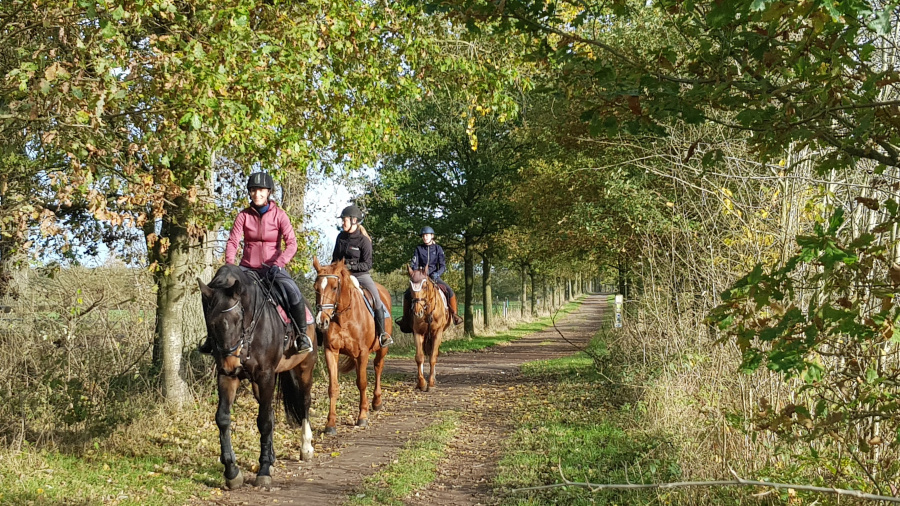 wandelen Oost-vlaanderen 