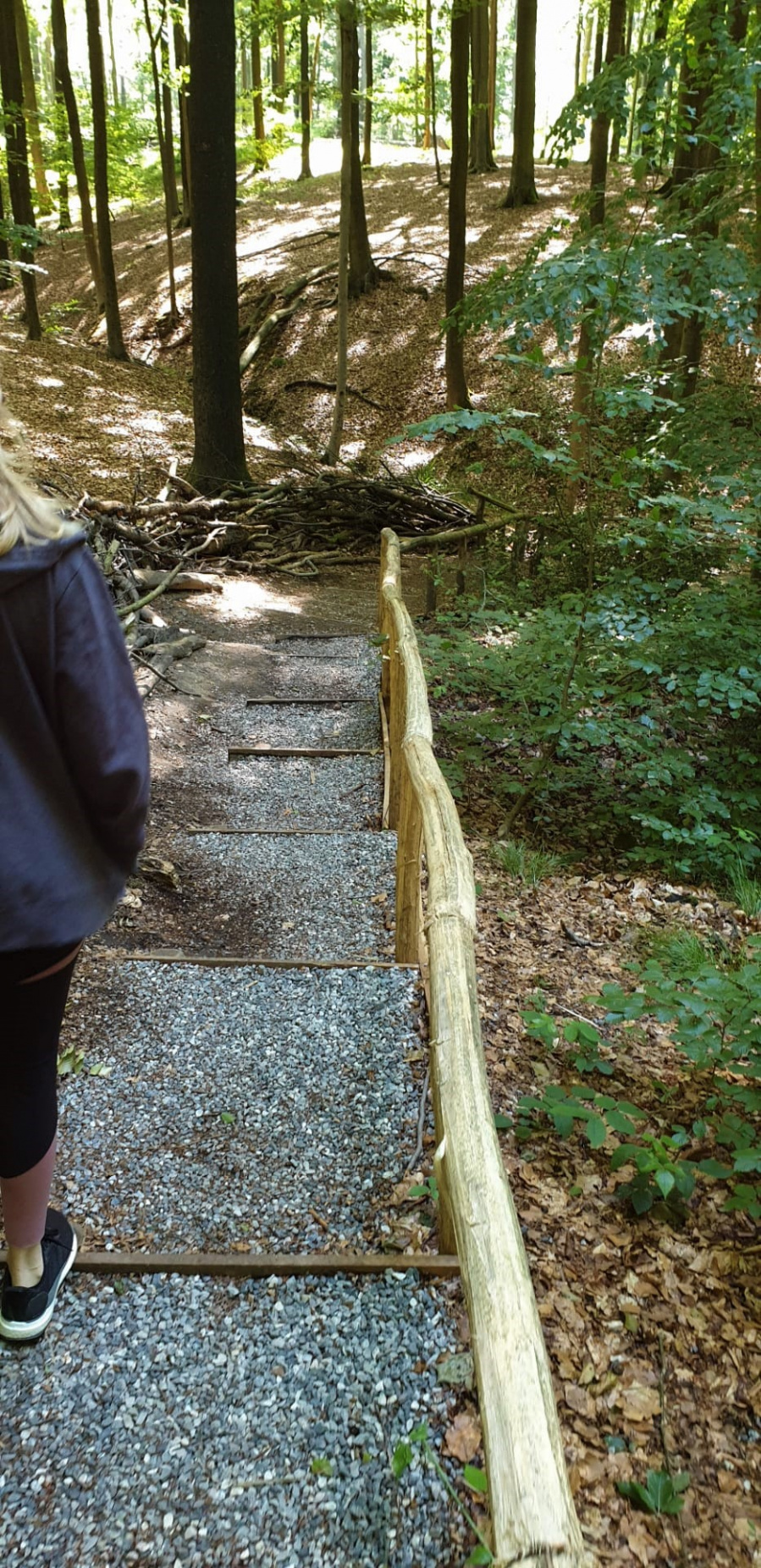 Wandelen Brakelbos