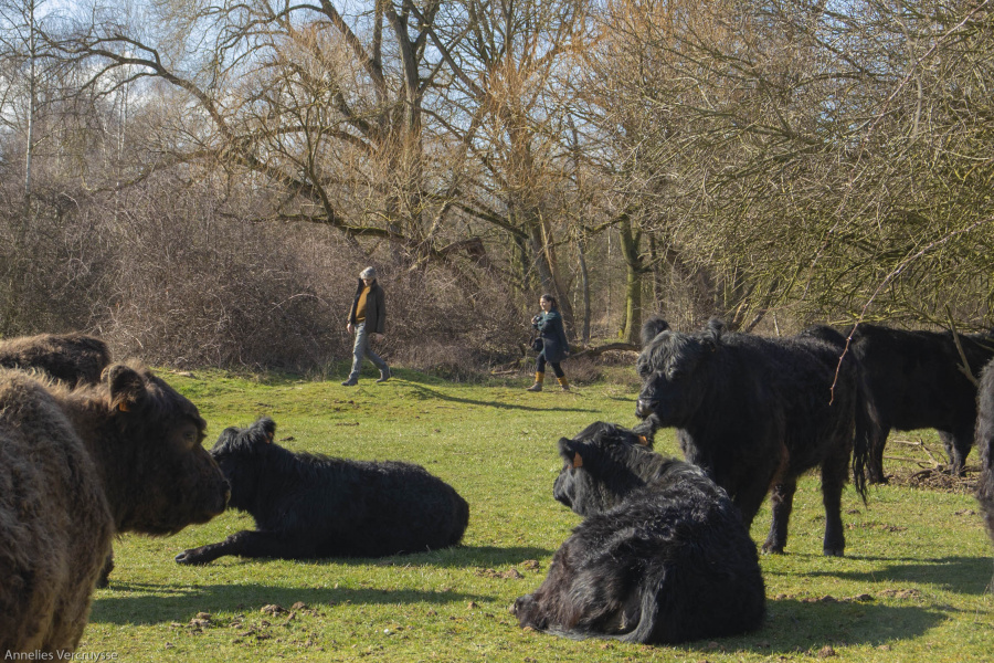 wandelen galloways 