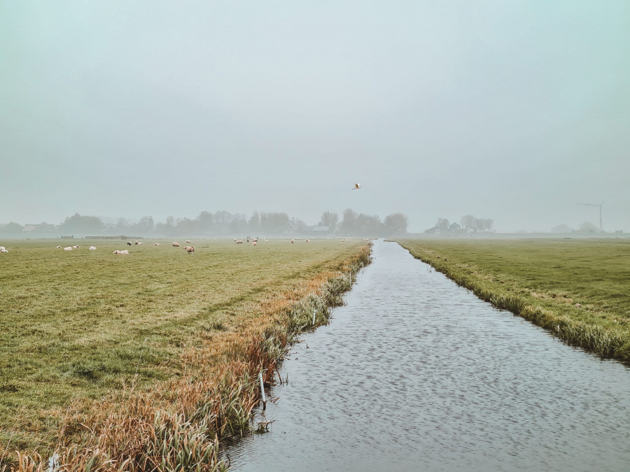 polders nederland 