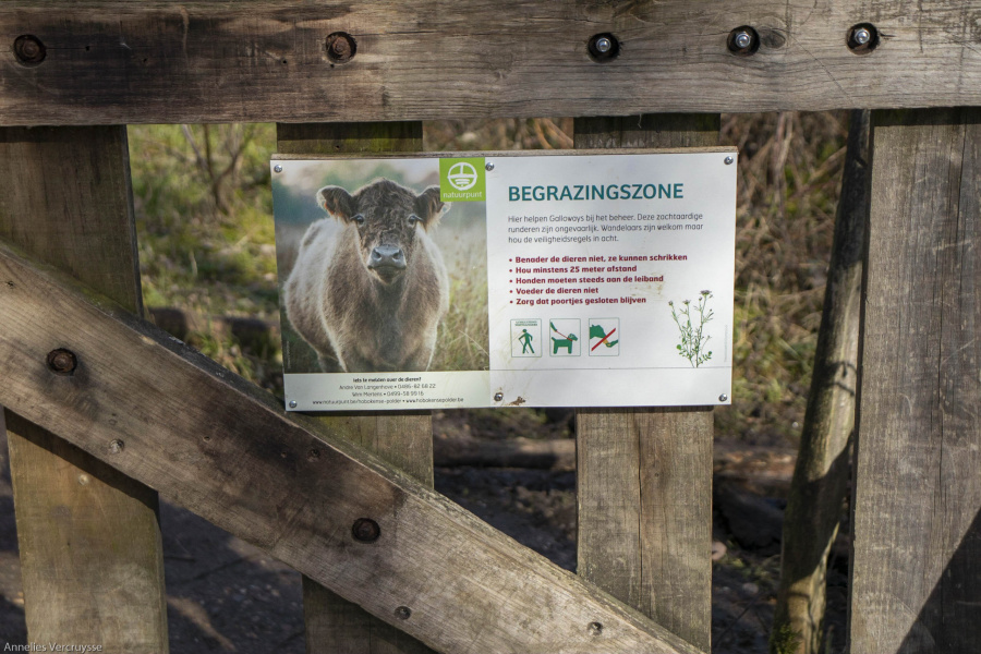 wandeling galloways