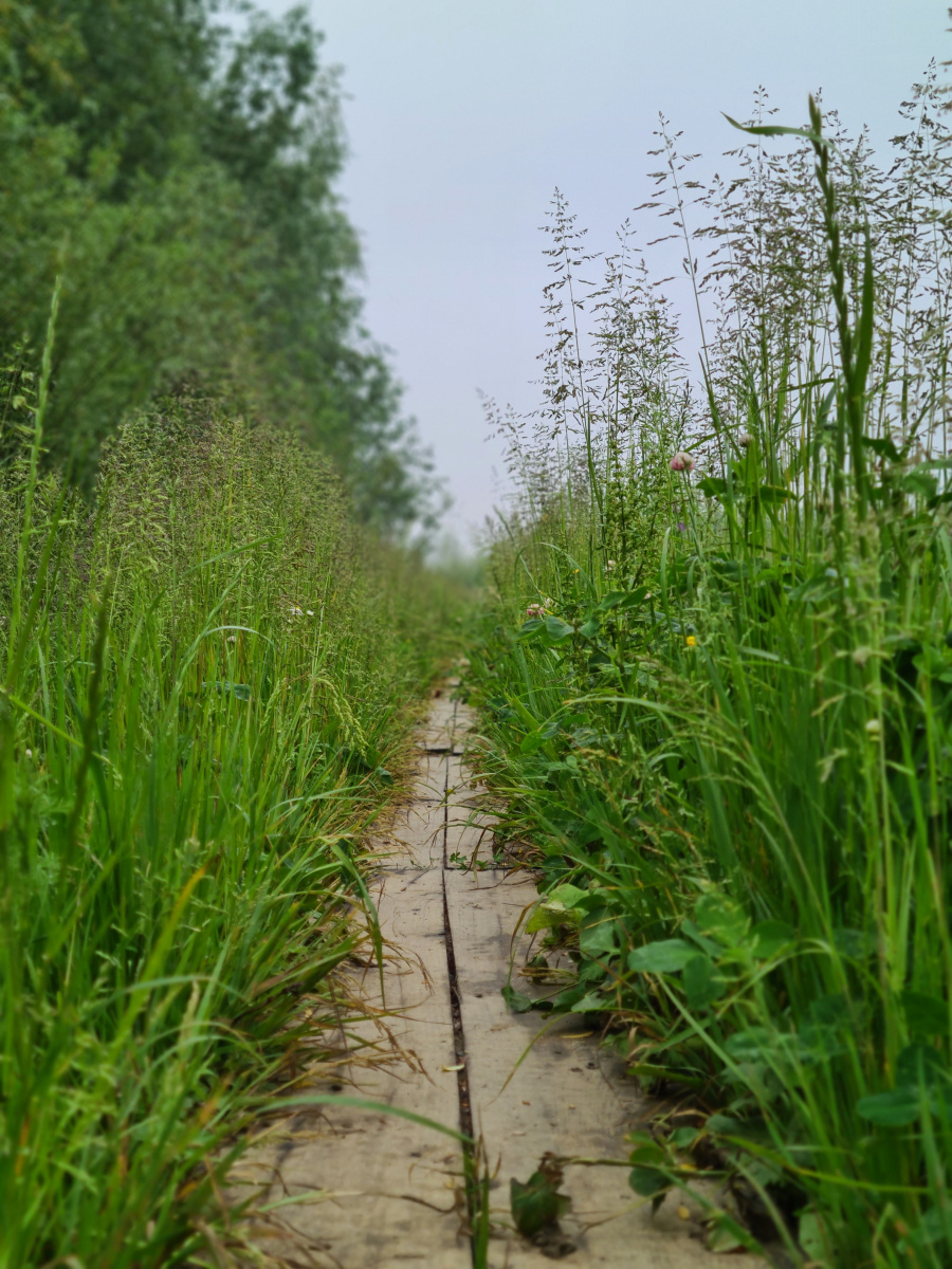 Mooiste wandeling Limburg 