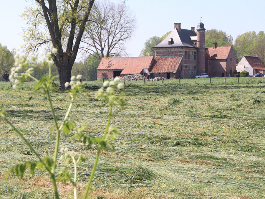 wandeling Wortegem - Petegem