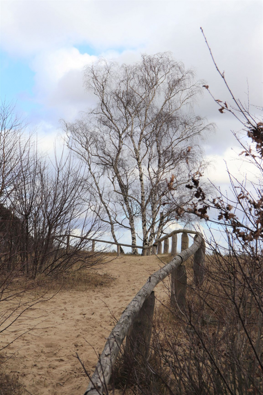 Wandeling Veluwe 