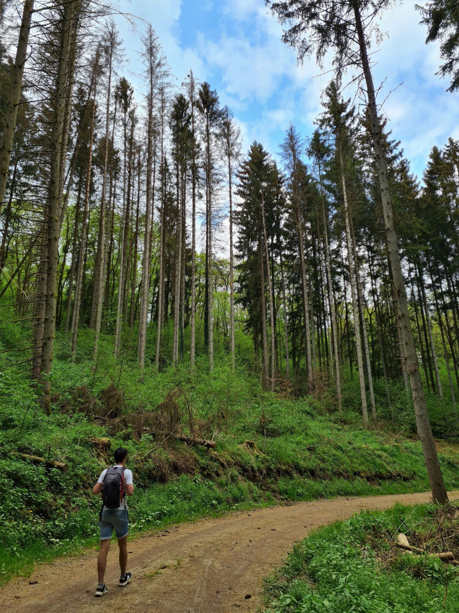 10 km wandeling Luxemburg 