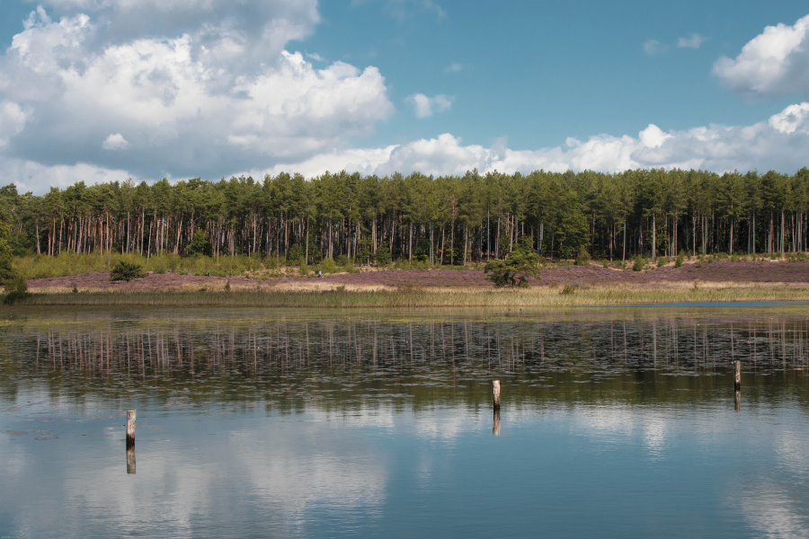 Wandelen Limburg