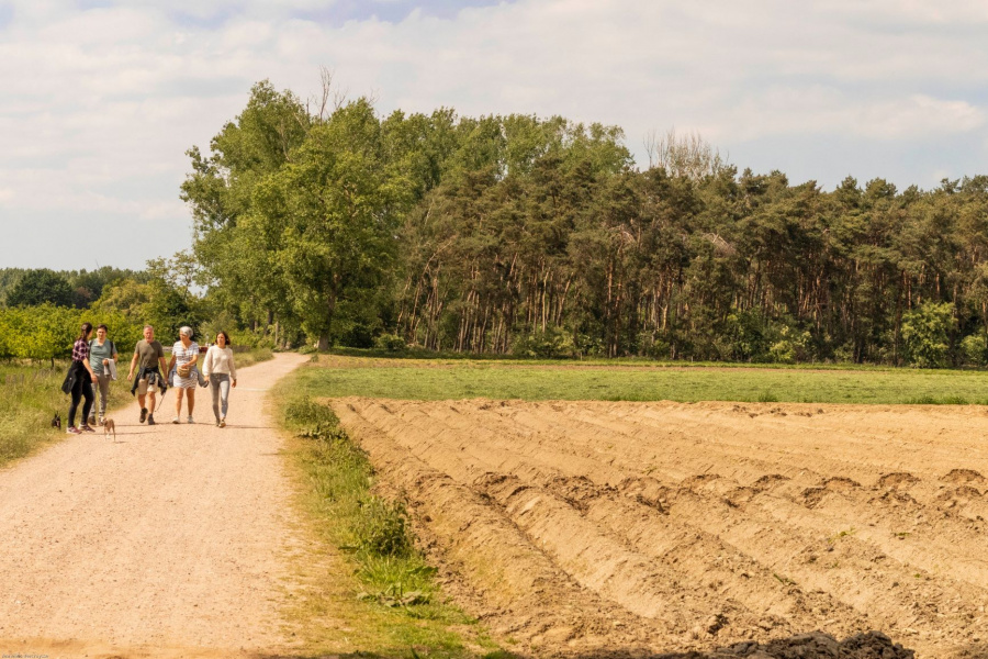 Wandelen in Vlaanderen 