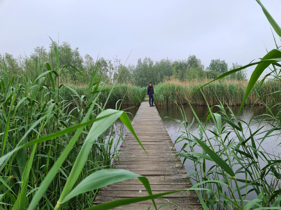 wandelen langs de maas