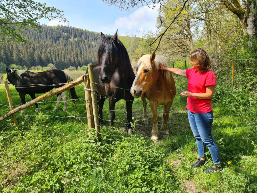 Ardennen Luxemburg wandelen 