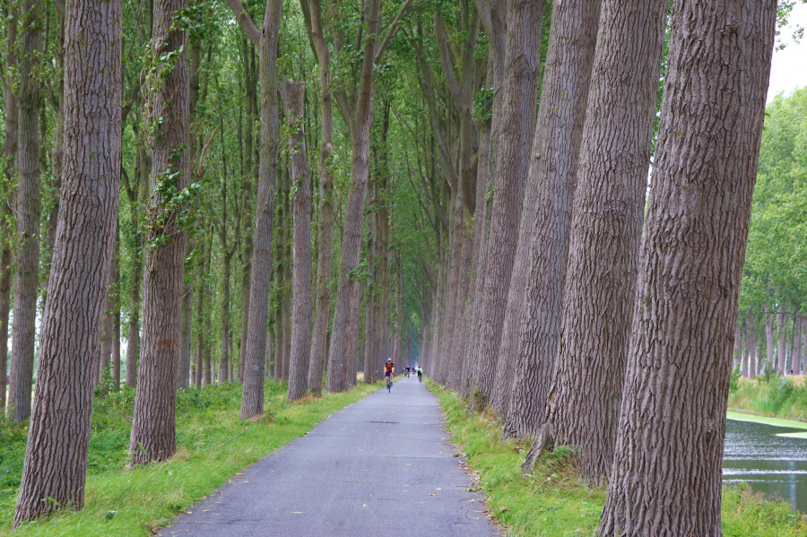 fietsen Damse vaart