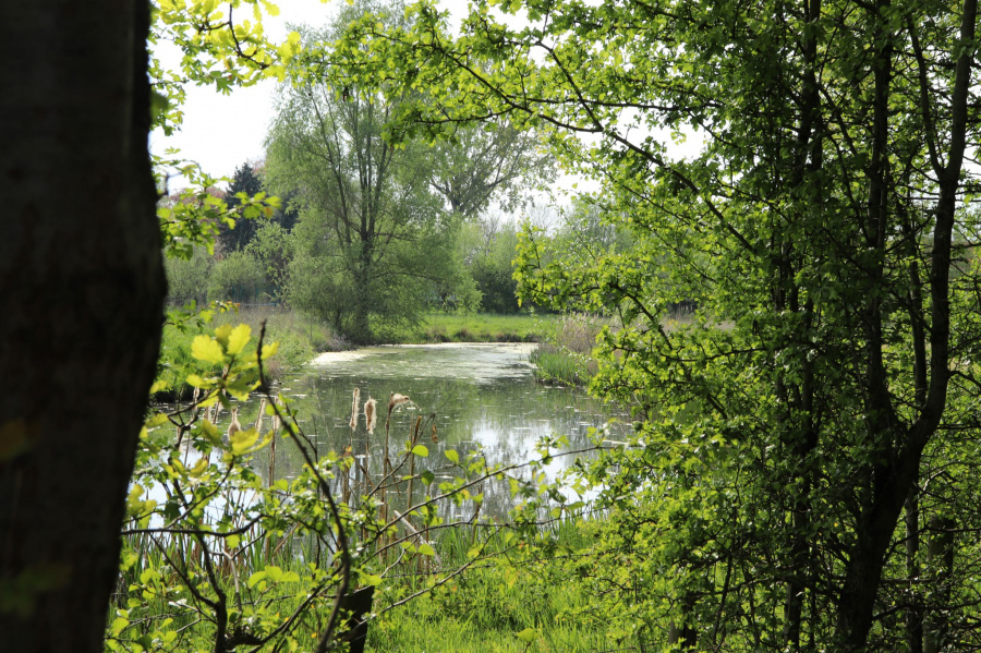 Natuurpunt Drongen 