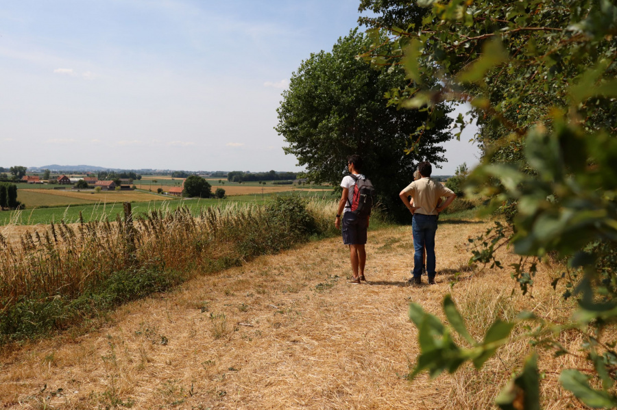 wandeling westhoek 