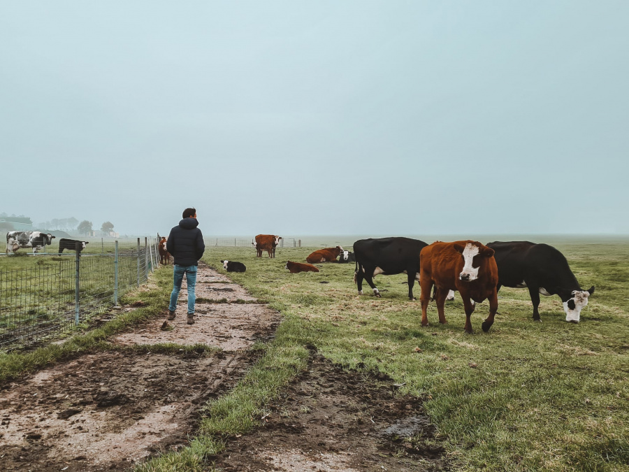 wandelen in Zuid-Limburg