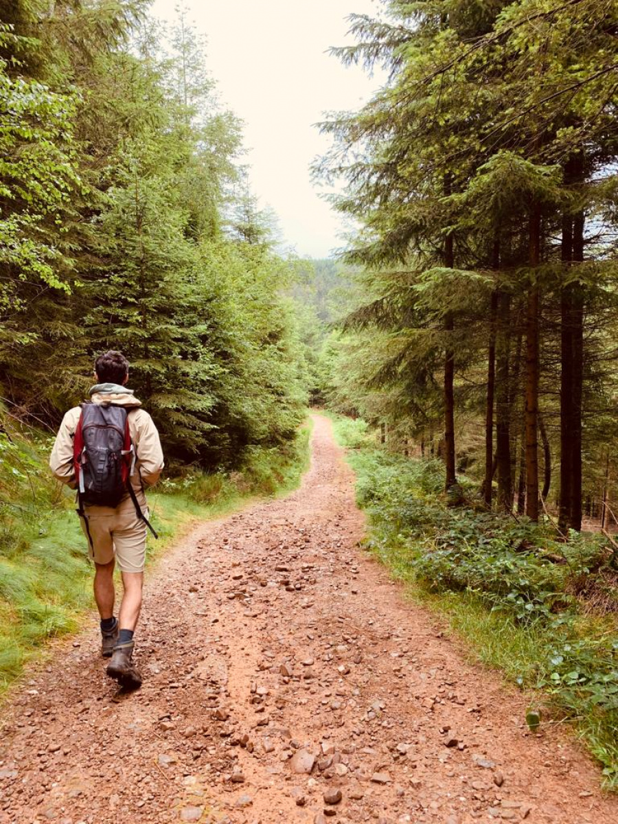 Wandelen Ardennen 