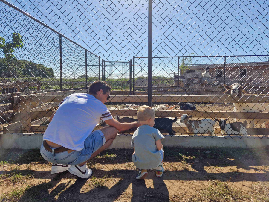 kinderboerderij Vlaanderen 