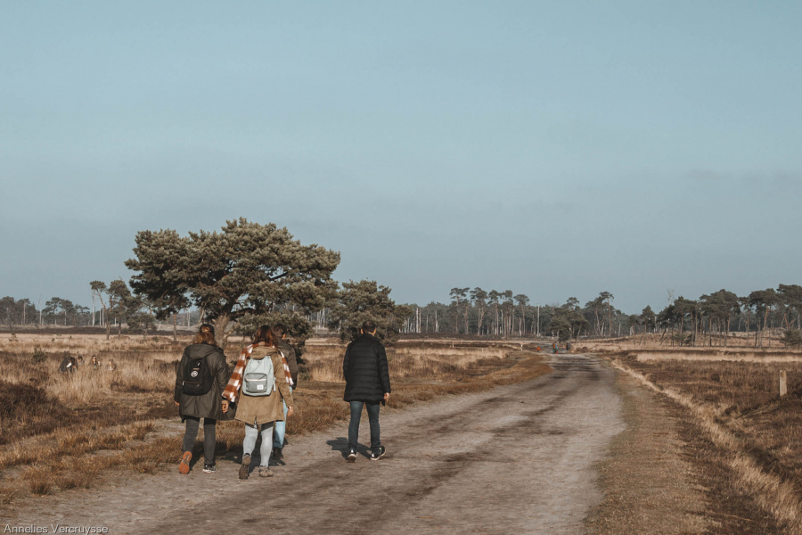 Parking kalmthoutse heide 