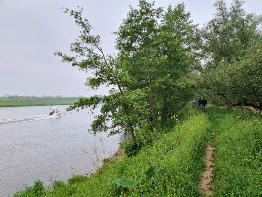 wandelen langs het water