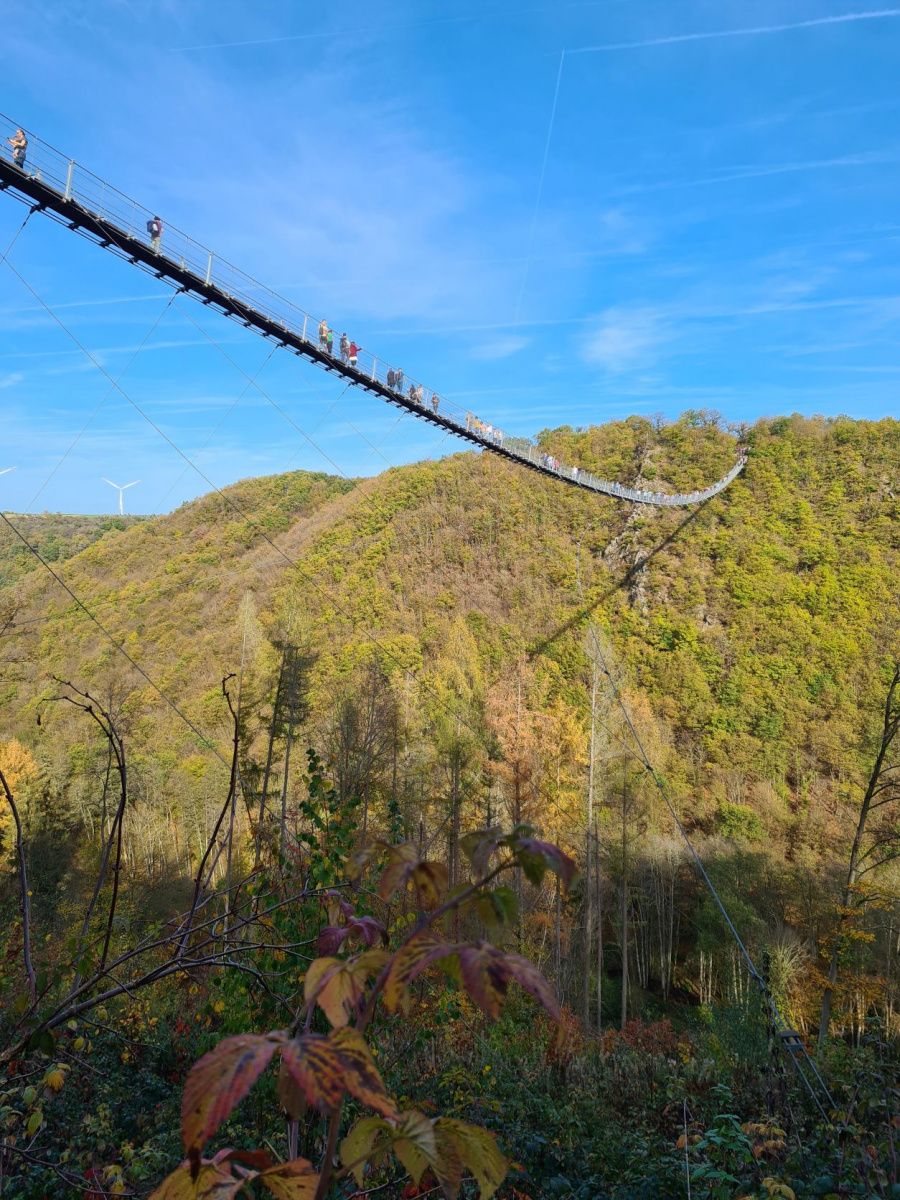 wandelroute Geierlay hangbrug