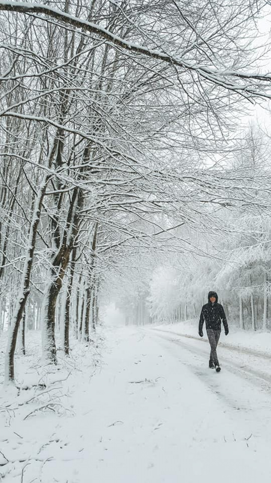 wandelen sneeuw hoge venen 