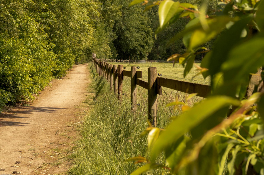 Wandelen in Berlare