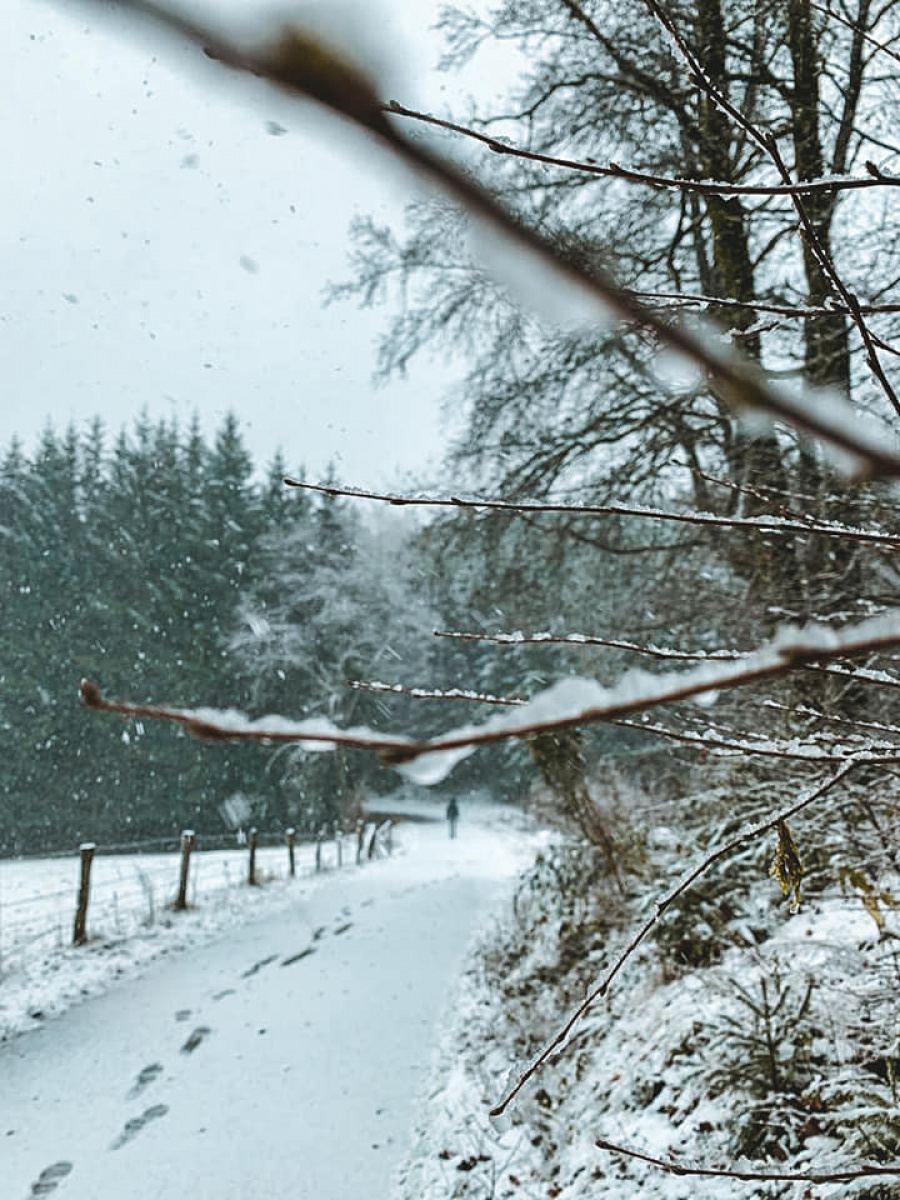 winterwandeling oostkantons